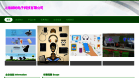 What Dzsnmw.cn website looked like in 2023 (This year)