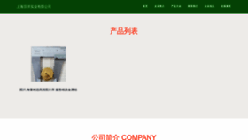 What Dssydw.cn website looked like in 2023 (This year)