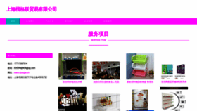 What Dysygw.cn website looked like in 2023 (This year)