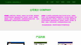 What Dzfipon.cn website looked like in 2023 (This year)