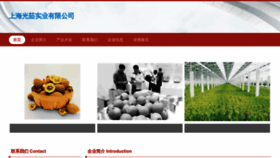 What Dyzzoj.cn website looked like in 2023 (This year)