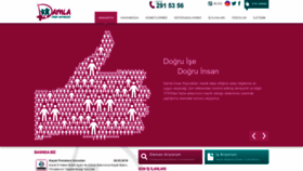 What Damladanismanlik.com website looked like in 2023 (This year)