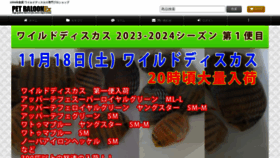 What Discus-shop.net website looked like in 2023 (This year)