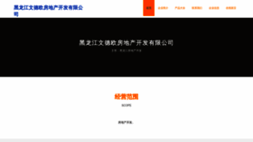 What D1wndeo.cn website looked like in 2023 (This year)