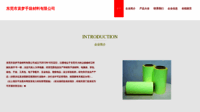 What Debpmsy.cn website looked like in 2023 (This year)