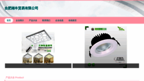 What Djrpxvv.cn website looked like in 2023 (This year)