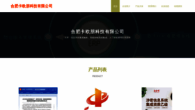 What Dkaoop.cn website looked like in 2023 (This year)