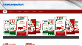 What Dkjngrv.cn website looked like in 2023 (This year)