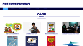What Dmwallet.cn website looked like in 2023 (This year)