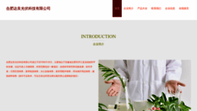 What Dalianglizheng.cn website looked like in 2023 (This year)