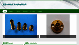 What Dgyrh49.cn website looked like in 2023 (This year)