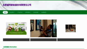 What Dingshengtongda.cn website looked like in 2023 (This year)