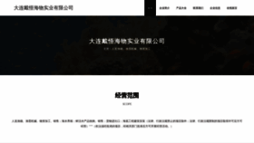 What Dlaiwu.cn website looked like in 2023 (This year)