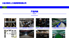 What Dlwli.cn website looked like in 2023 (This year)