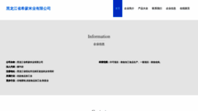 What D1vdz.cn website looked like in 2023 (This year)