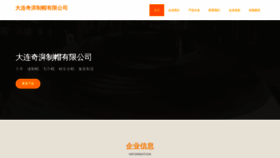 What Dlqipai.cn website looked like in 2023 (This year)