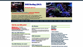 What Dsrreefing.nl website looked like in 2023 (This year)