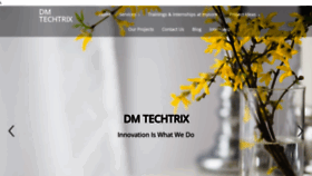What Dmtechtrix.in website looked like in 2023 (This year)