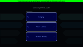 What Durangomls.com website looked like in 2023 (This year)