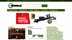 What Drewno.pl website looked like in 2023 (This year)