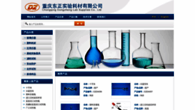What Dzlab888.com website looks like in 2024 