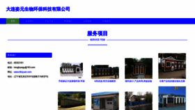 What Dlziyuan.com website looks like in 2024 