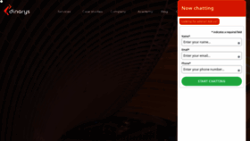 What Dinarys.com website looks like in 2024 