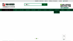 What Dzoom.cn website looked like in 2024 (1 year ago)