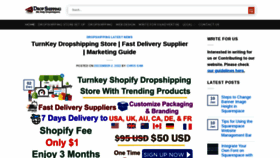 What Dropshippinghelps.com website looks like in 2024 