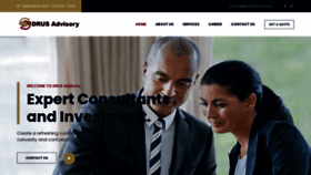What Drusadvisory.com website looks like in 2024 