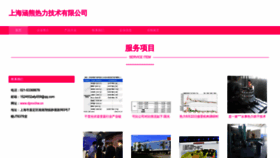 What Dpnvchw.cn website looks like in 2024 