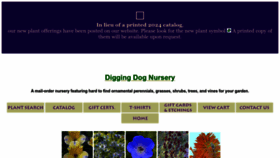 What Diggingdog.com website looks like in 2024 