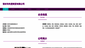What Dfswsw.cn website looks like in 2024 