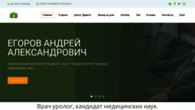 What Dr-egorov.ru website looks like in 2024 