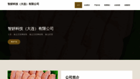 What Dayuzhizheyangche.com website looks like in 2024 