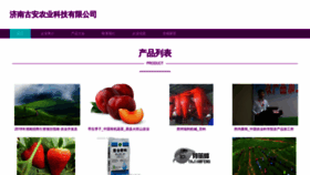 What Di-guan.com website looks like in 2024 