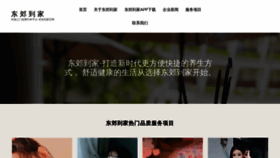 What Dongjiaospa.vip website looks like in 2024 