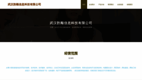 What Dayunzhun.com website looks like in 2024 