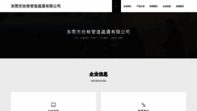 What Dgxinyu888.com website looks like in 2024 