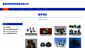 What Douyinxiaodian10.com website looks like in 2024 