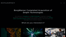 What Delphi.com website looks like in 2024 