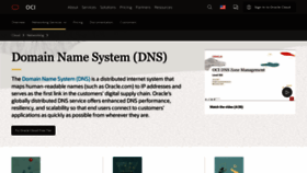 What Dnsalias.org website looks like in 2024 