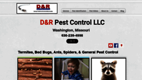 What Drpests.com website looks like in 2024 