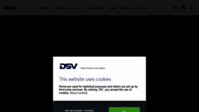 What Dsv.com website looks like in 2024 