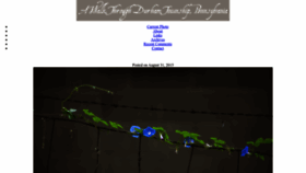 What Durhamtownship.com website looked like in 2024 (1 year ago)