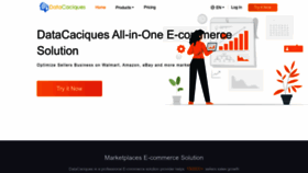 What Datacaciques.com website looks like in 2024 