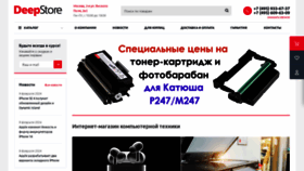 What Deepstore.ru website looks like in 2024 