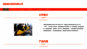 What Dingxingjf.com website looks like in 2024 