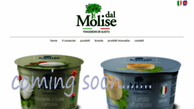What Dalmolise.it website looks like in 2024 