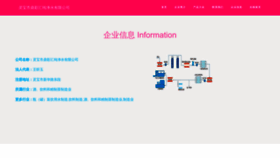 What Dingcaihui.com website looks like in 2024 
